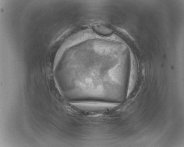 X0000079341399200612082012