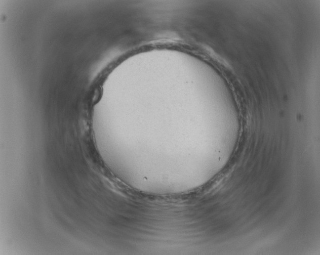 X0000079341400200612082012