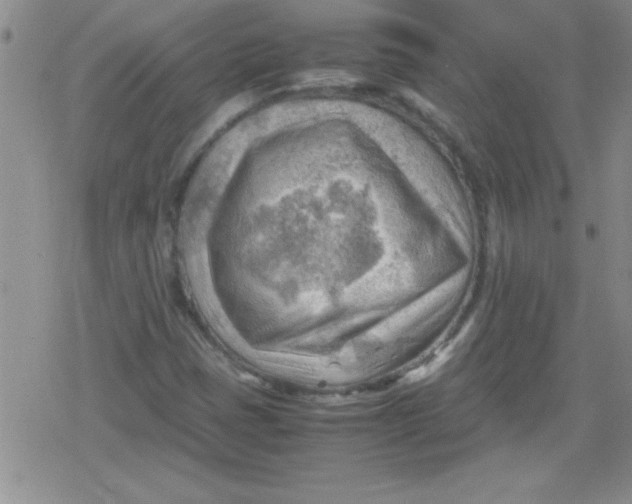 X0000079341401200612082012