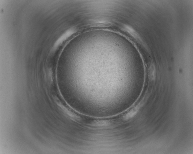 X0000079341402200612082012