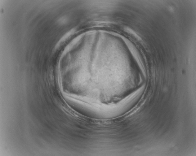 X0000079341403200612082012