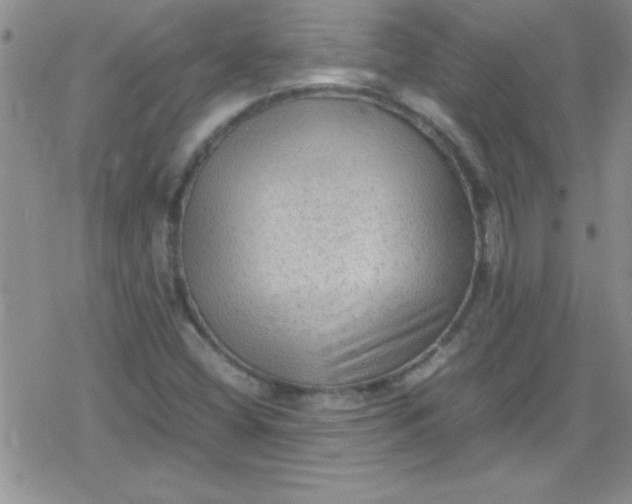 X0000079341404200612082012