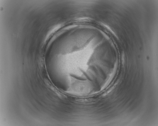 X0000079341405200612082012