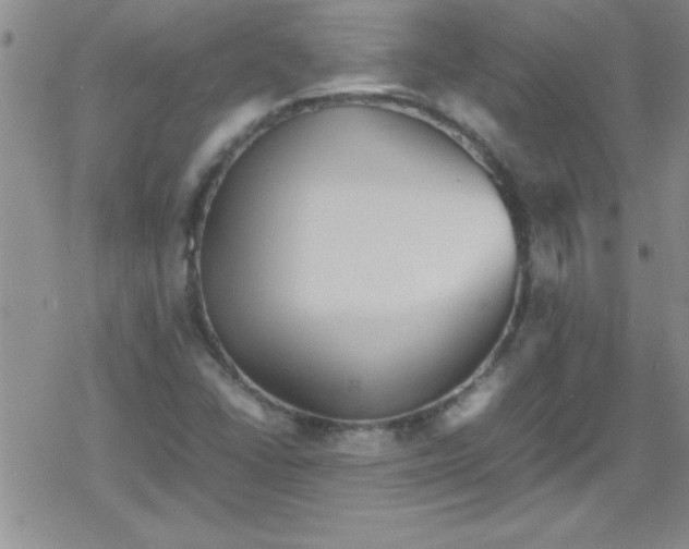 X0000079341406200612082013