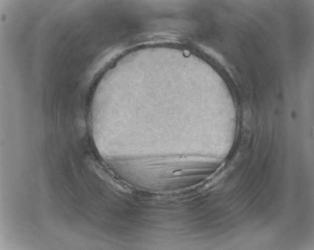 X0000079341407200612082013