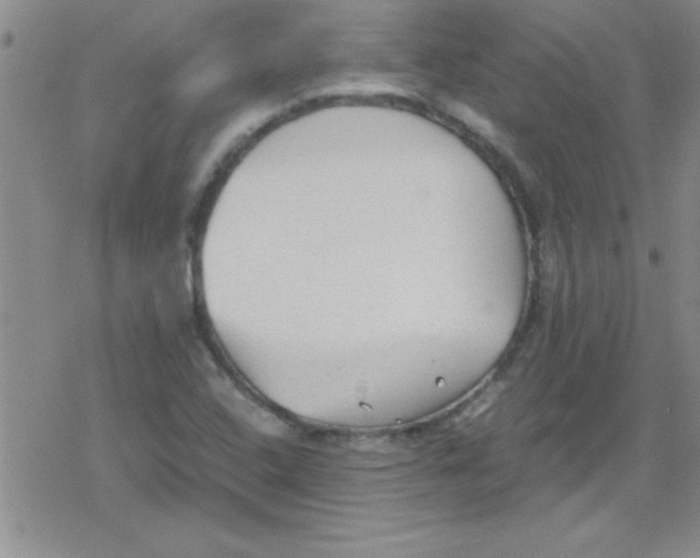 X0000079341408200612082013