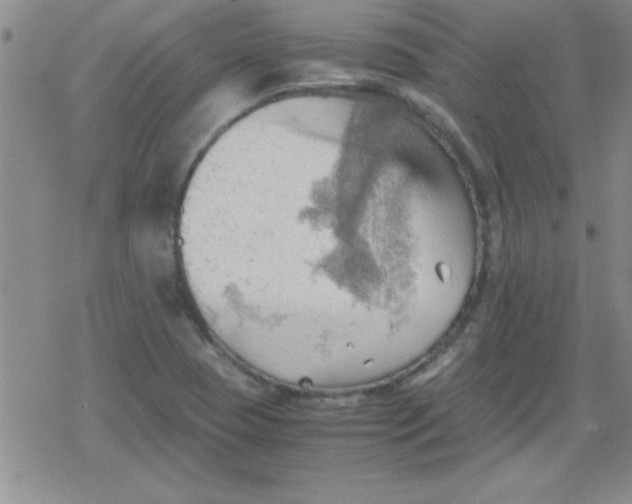 X0000079341409200612082013