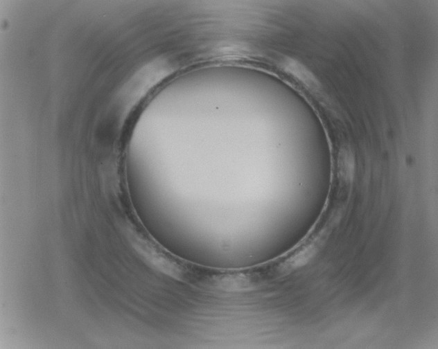 X0000079341410200612082013