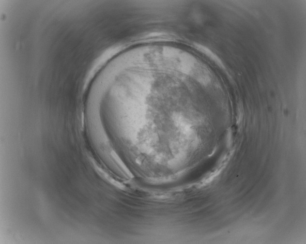 X0000079341413200612082013