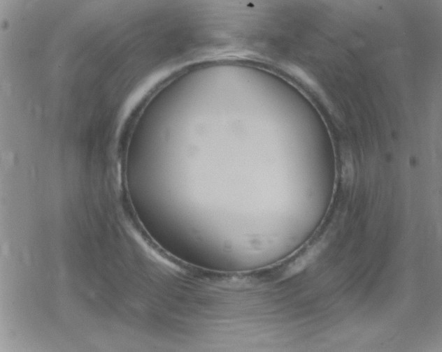 X0000079341414200612082013