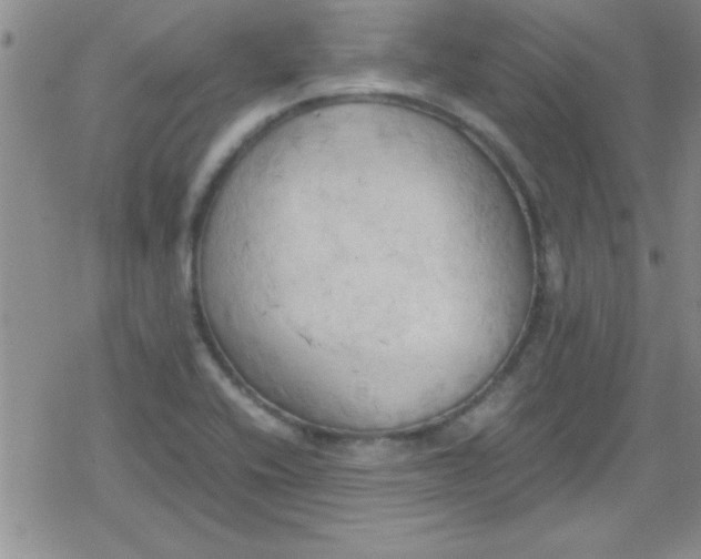 X0000079341416200612082013