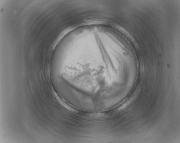 X0000079341417200612082013