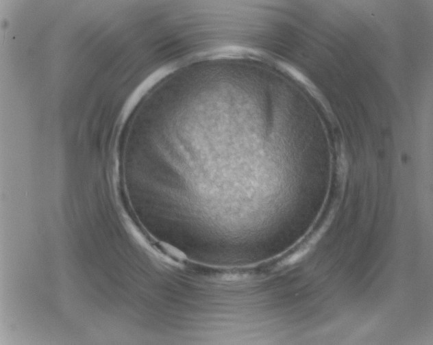 X0000079341418200612082013