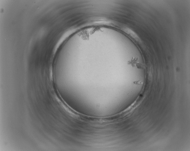 X0000079341420200612082013