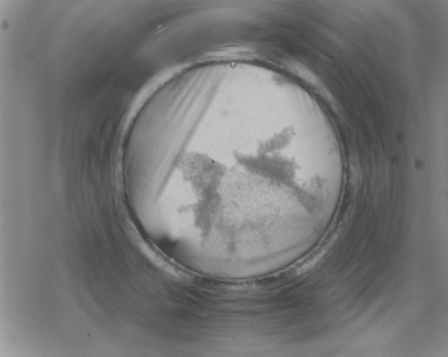 X0000079341421200612082013