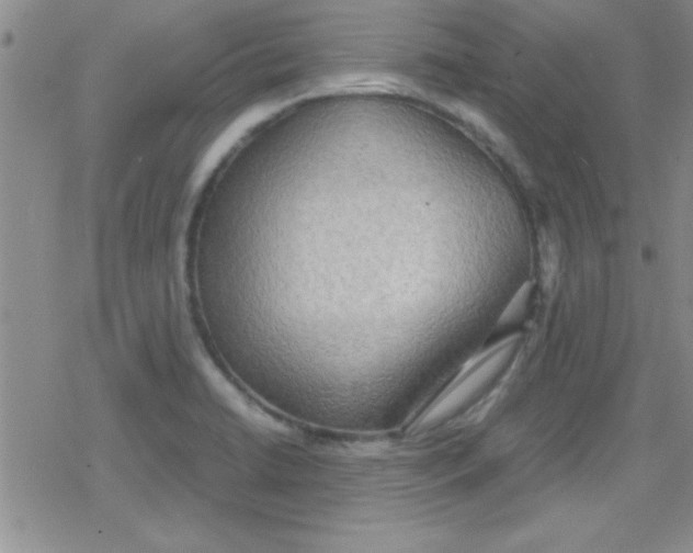 X0000079341422200612082013