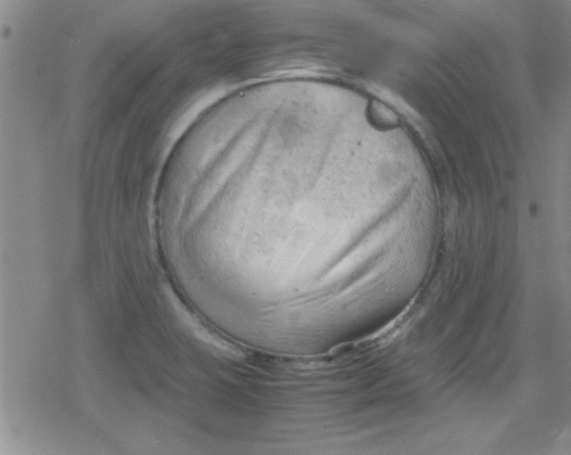 X0000079341423200612082013