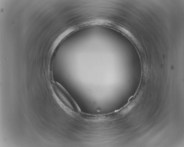 X0000079341426200612082013