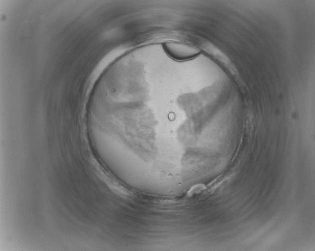 X0000079341427200612082013