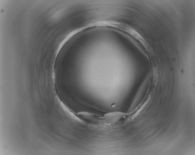 X0000079341428200612082013