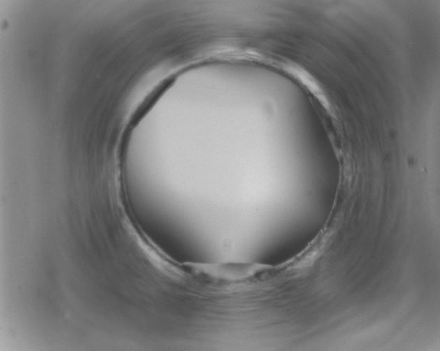 X0000079341430200612082013