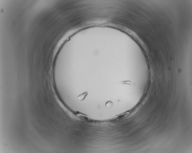 X0000079341432200612082013