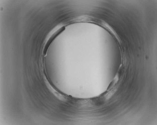 X0000079341434200612082013