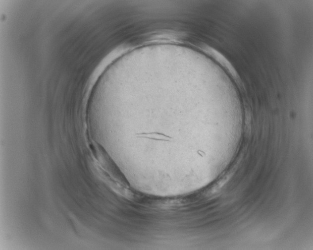 X0000079341435200612082013