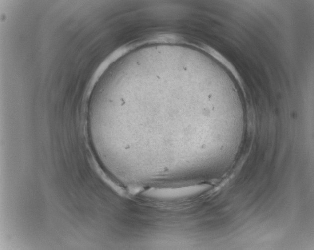 X0000079341437200612082013