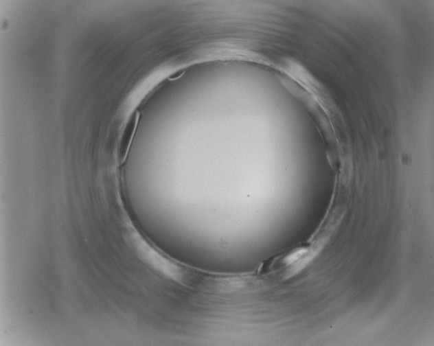 X0000079341438200612082013