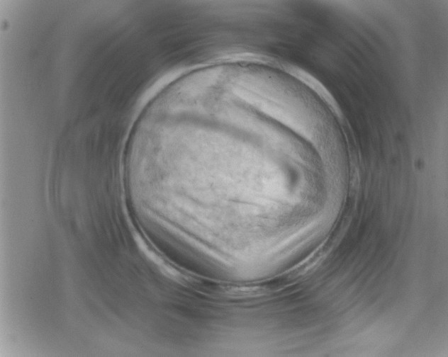 X0000079341439200612082013