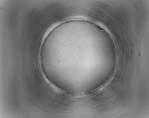 X0000079341440200612082013