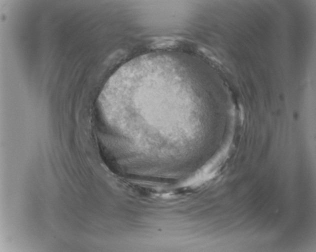 X0000079341441200612082012