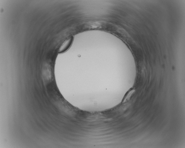 X0000079341442200612082012