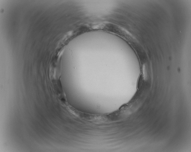 X0000079341443200612082012