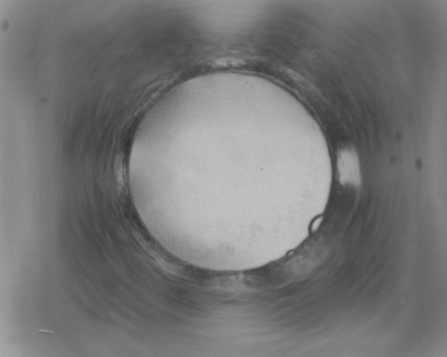 X0000079341444200612082012