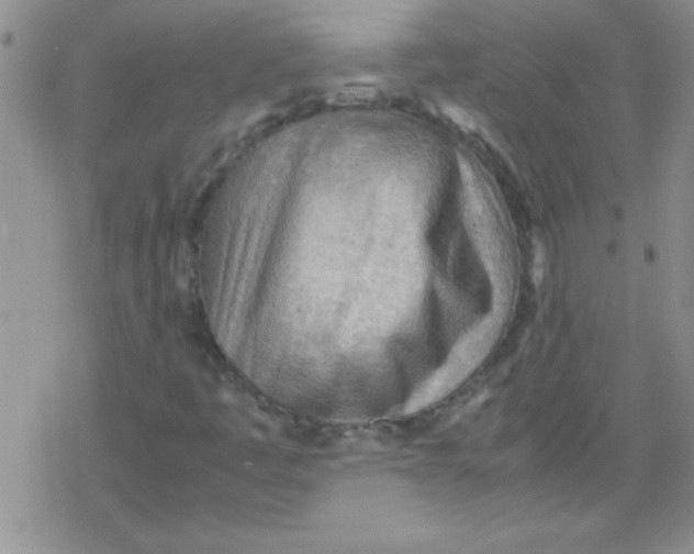 X0000079341445200612082012