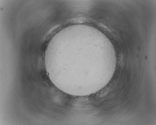 X0000079341446200612082012