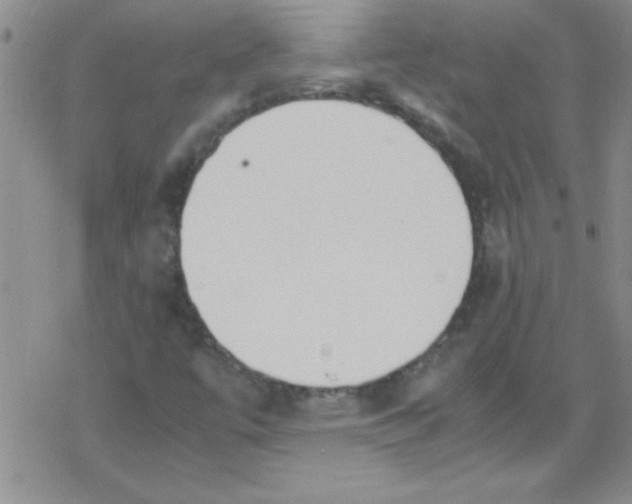 X0000079341447200612082012