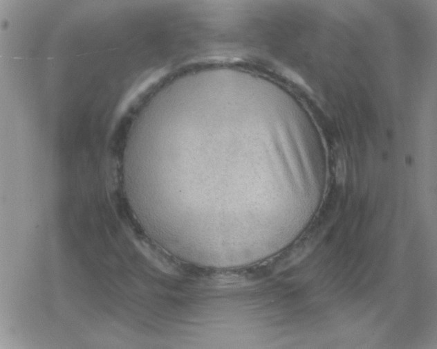 X0000079341448200612082012