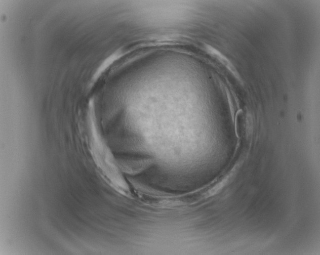 X0000079341449200612082012