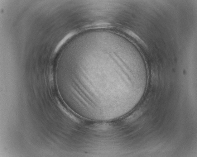 X0000079341450200612082012