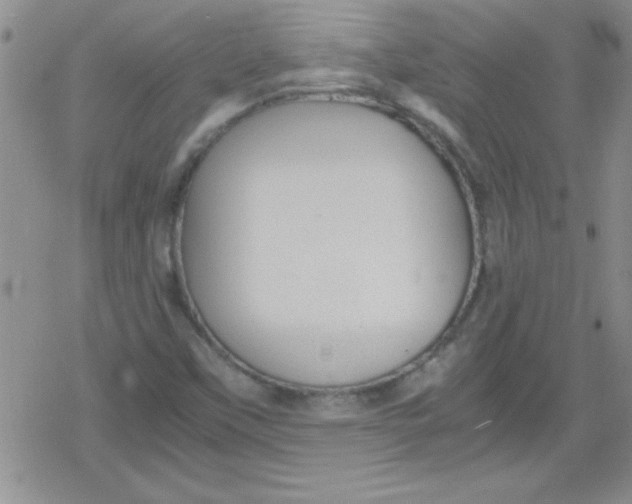 X0000079341451200612082012