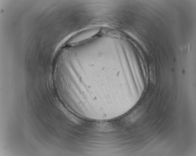 X0000079341452200612082012