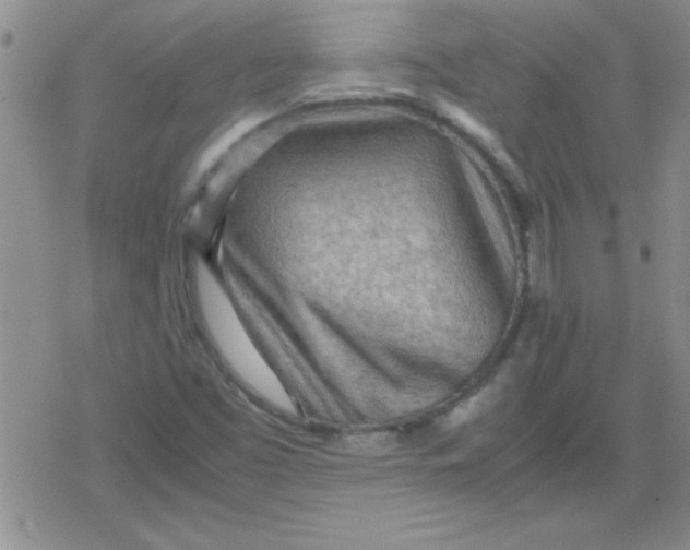 X0000079341453200612082012