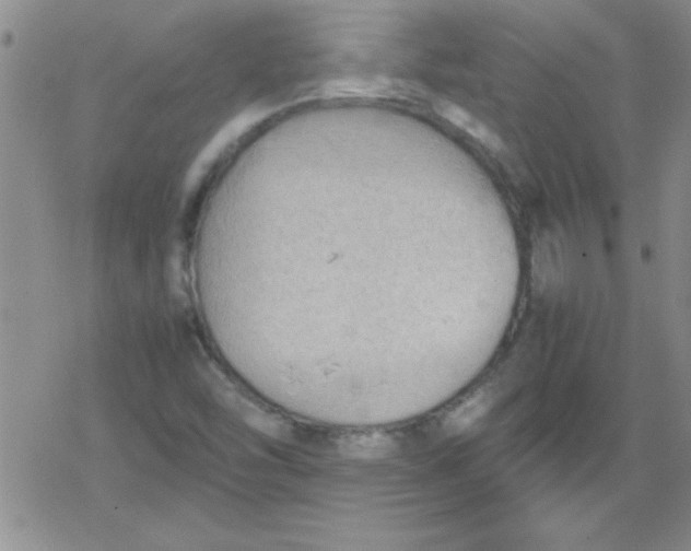 X0000079341454200612082012