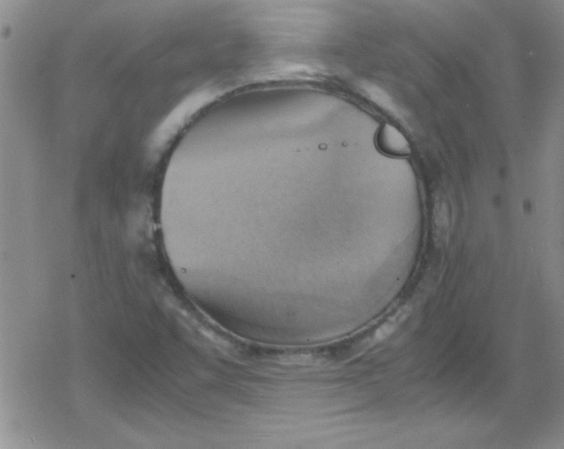 X0000079341455200612082012