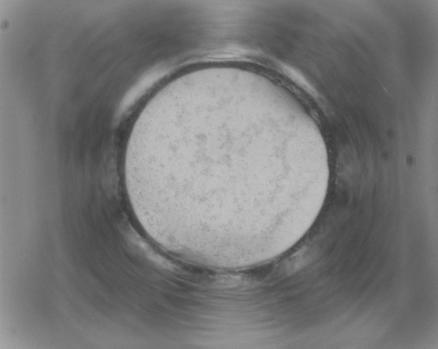 X0000079341456200612082012