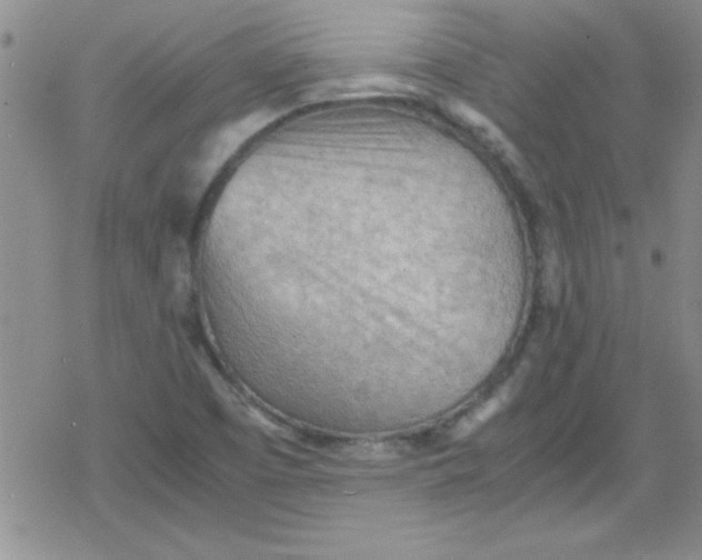 X0000079341457200612082012