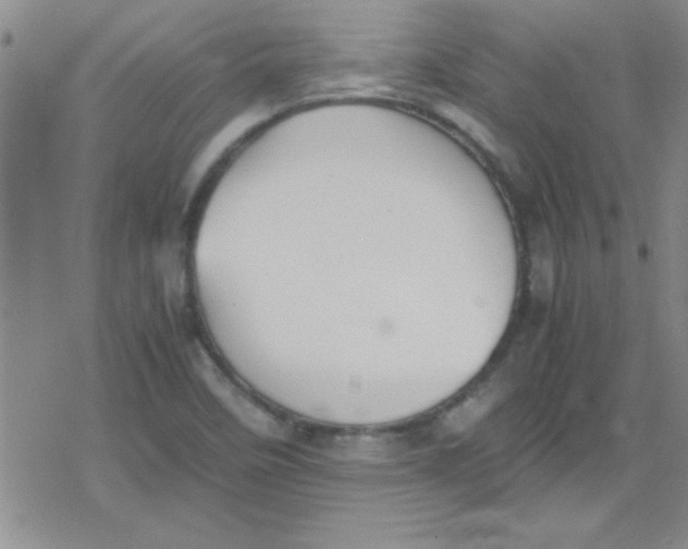 X0000079341458200612082012